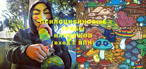 СК Рославль