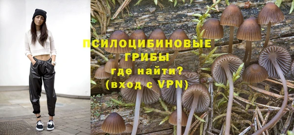 СК Рославль