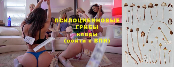 гидра Ростов